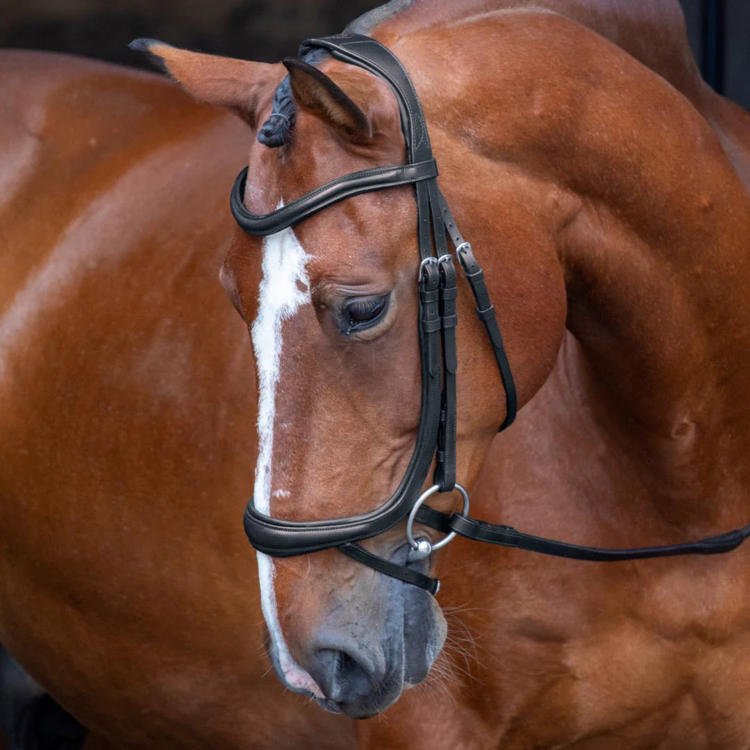 Bridon Hunter Cavesson Hunter Noseband | Dy'on US Collection – Équitavi Bridon Hunter Cavesson Hunter Noseband | Dy'on US Collection – Équitavi
