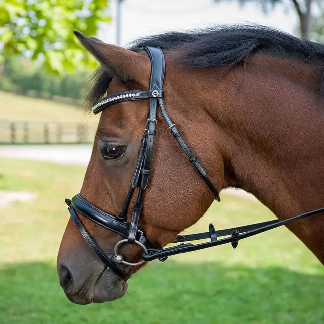 Henri De River Diamonte Dressage Bridle