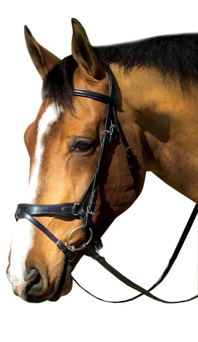 MTL Platinum Comfort Fit Dressage Bridle/ Flash Crank
