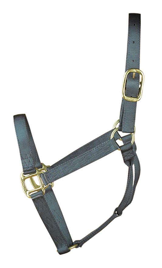 Hamilton Nylon Halter