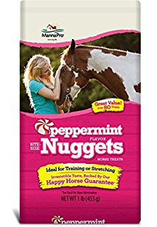 Bite Size Nugget Horse Treats