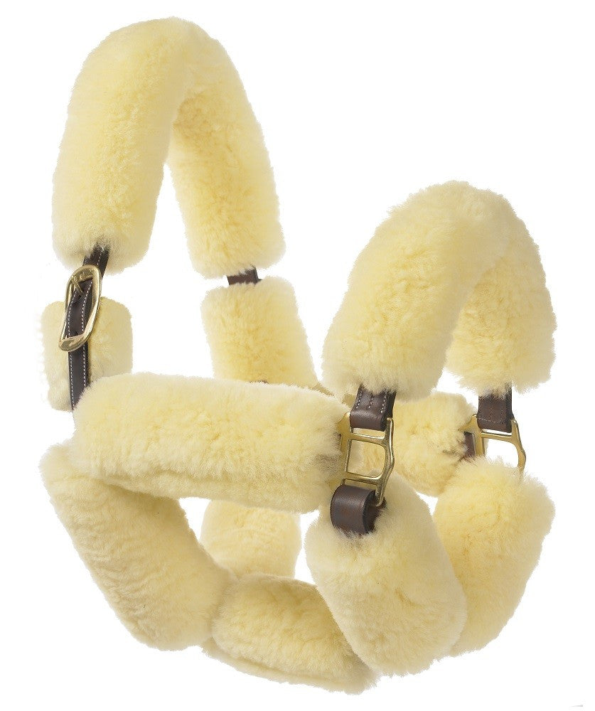 Shipping Halters