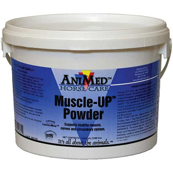 Muscle & Performance