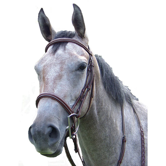 Pro-Trainer Fancy Raised Padded Bridle