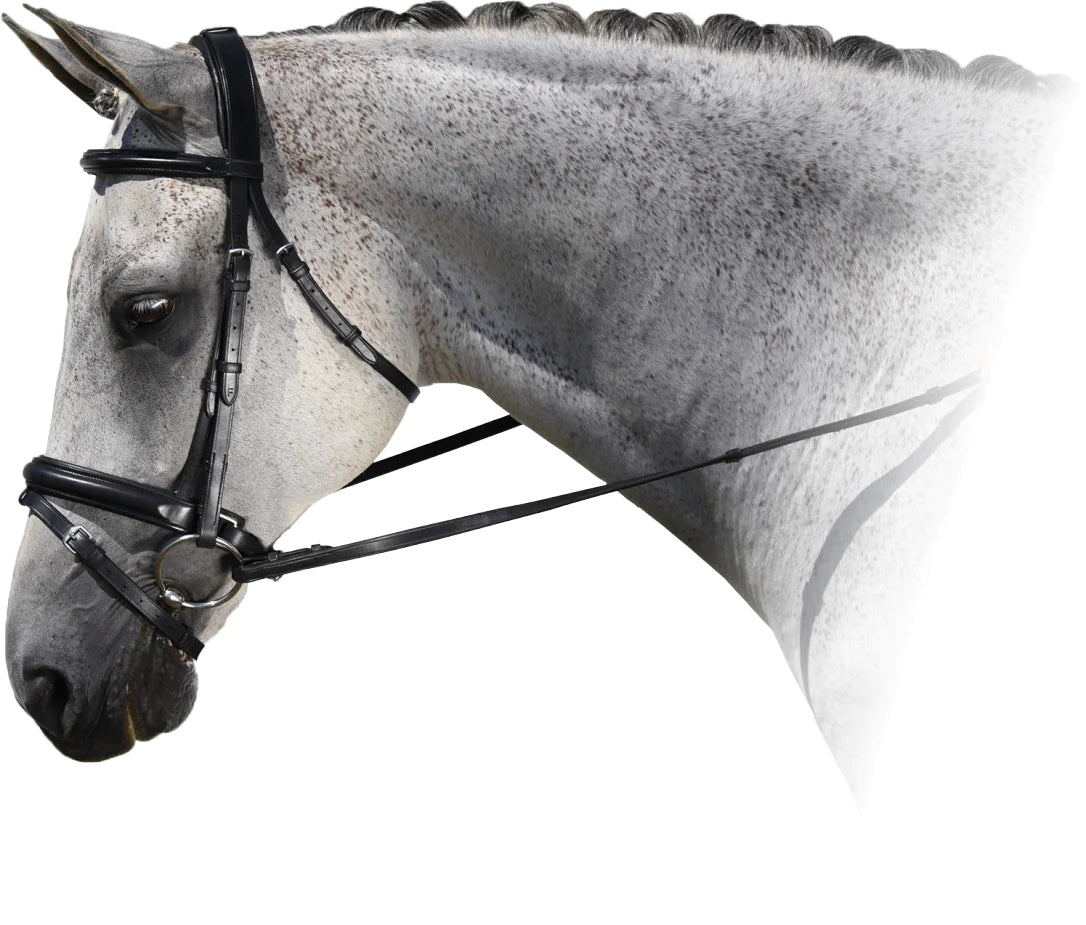 MTL Platinum ELITE Dressage Bridle