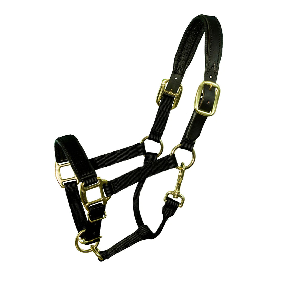 Premium Nylon Breakaway Padded Halter