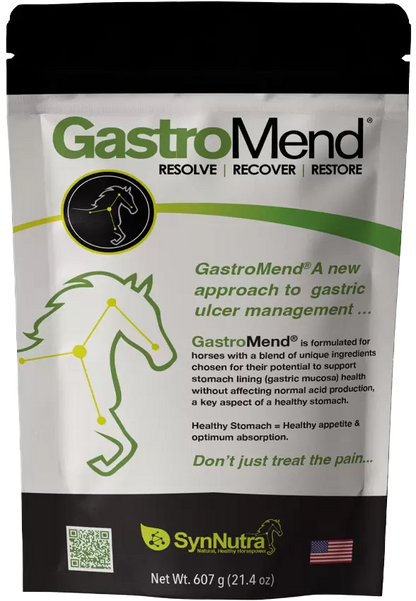 SynNutra GastroMend – Gastric Health Supplement for Horses