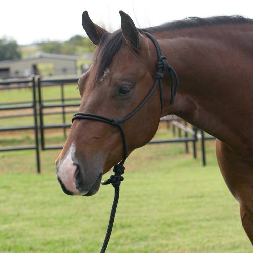 PROFESSIONAL CHOICE EQUISENTIAL ROPE HALTER