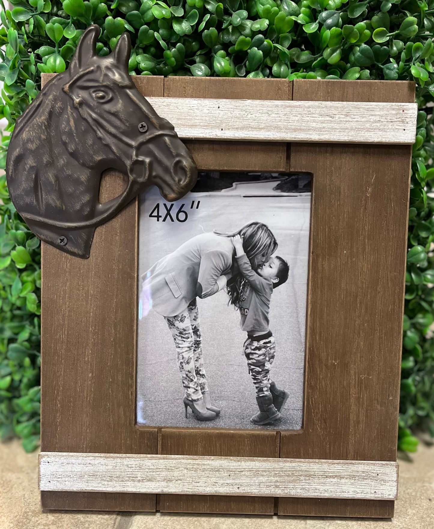 Horse Head Picture Frame