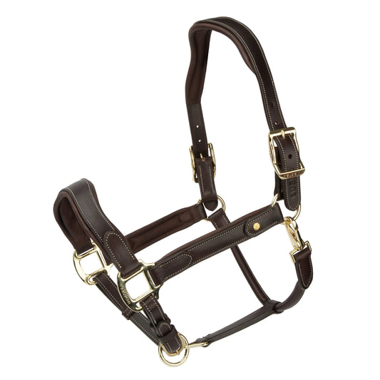 Velociti Lusso Lorca Leather Halter