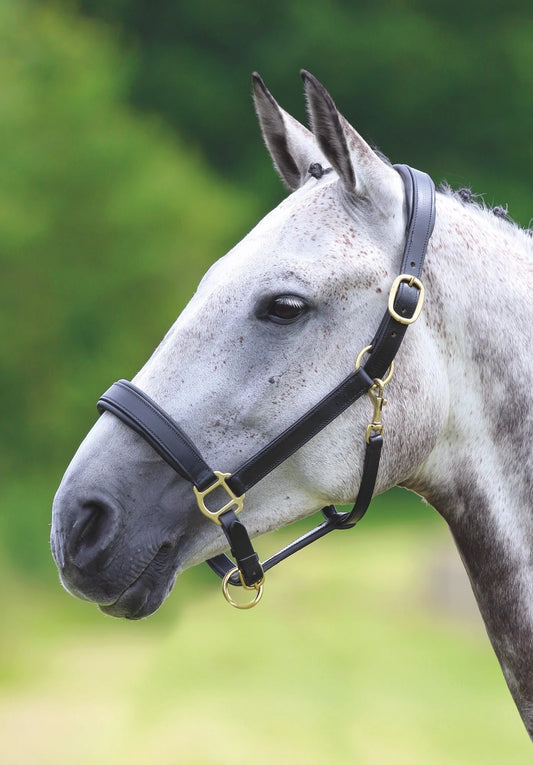 Velociti GARA Leather Travel Halter