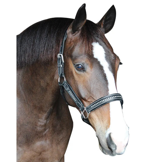 Henri De Rivel Padded Crystal Halter