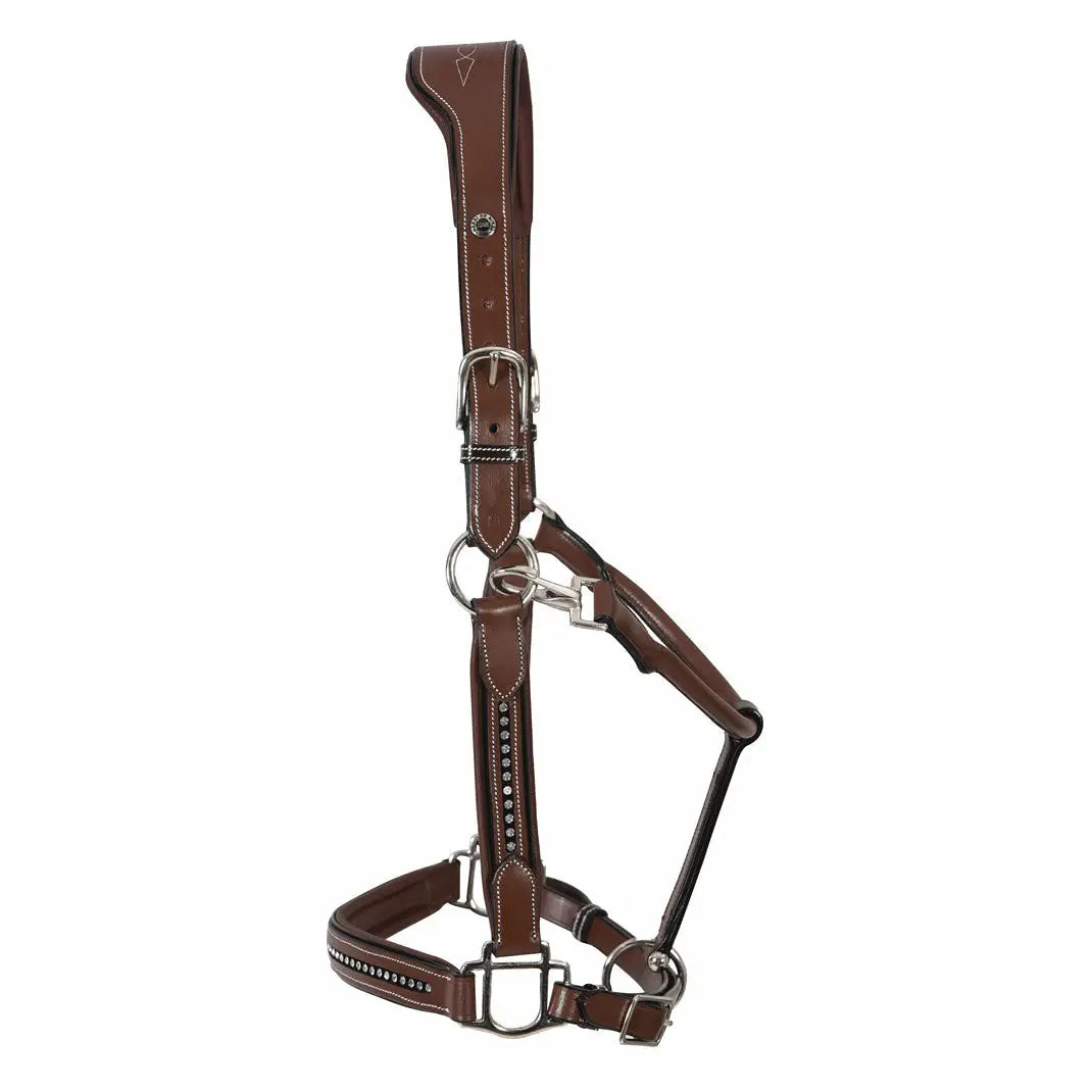 Henri De Rivel Padded Crystal Halter