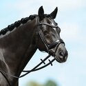 PassierBlu Spirit Snaffle Bridle