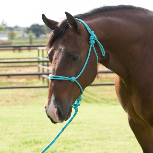 PROFESSIONAL’S CHOICE EQUISENTIAL ROPE HALTER