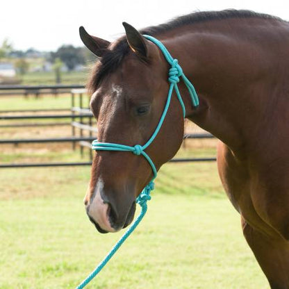 PROFESSIONAL’S CHOICE EQUISENTIAL ROPE HALTER