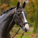 Passier Confidence Snaffle Bridle