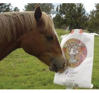 Haystack Wild Berry Horse Treats
