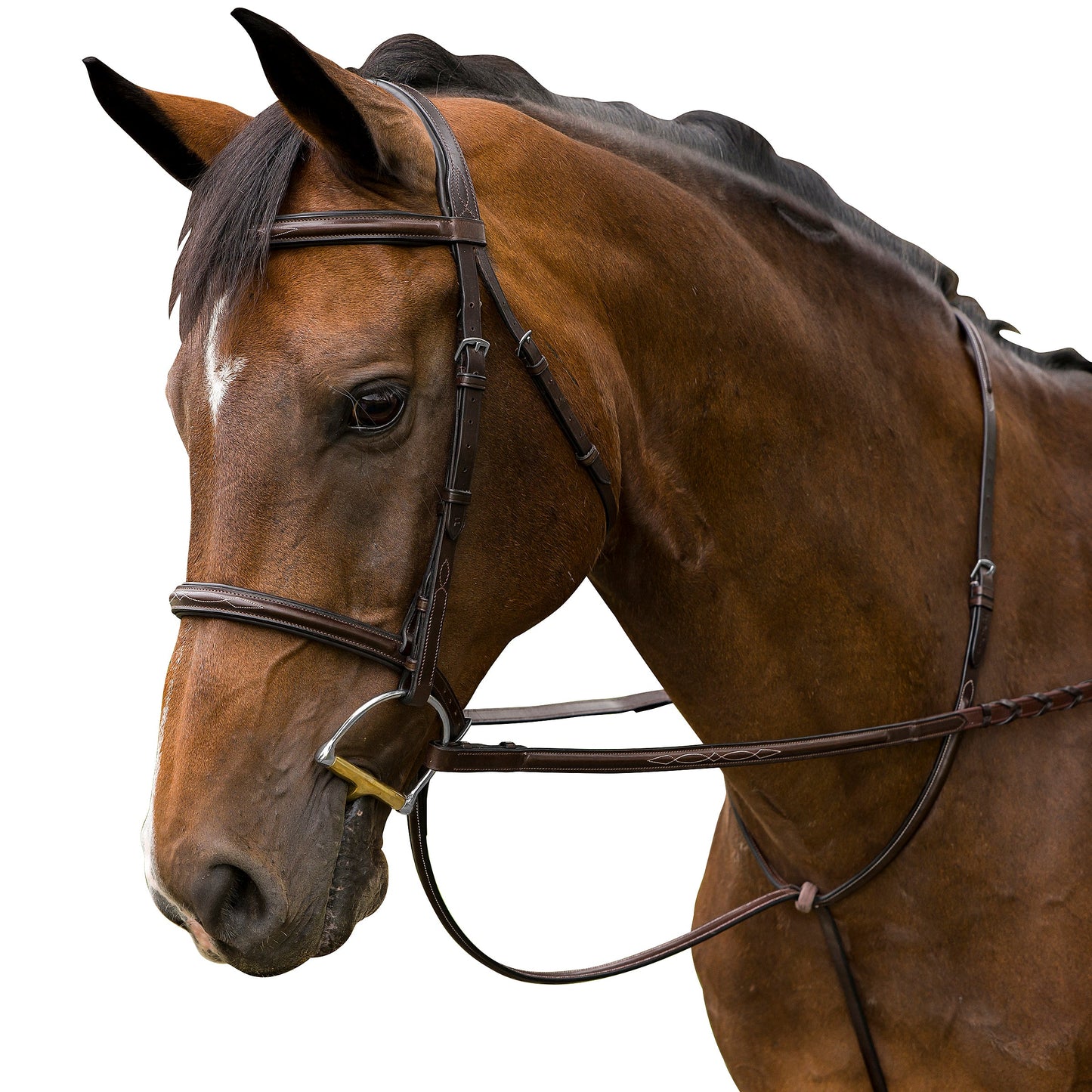 Marcel Toulouse Novice Hunter Bridle