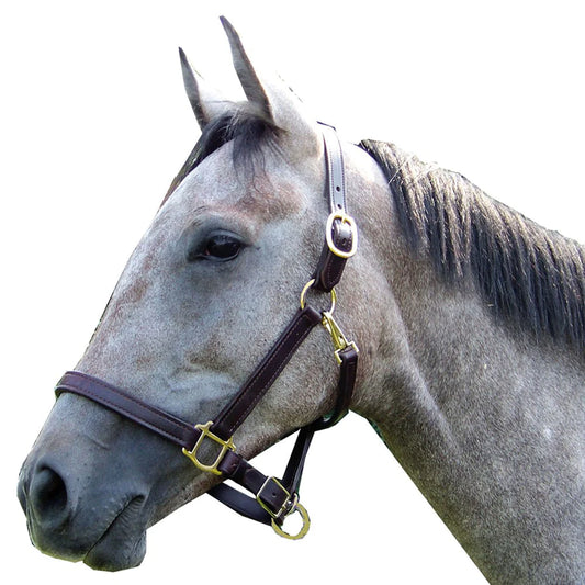 Leather Halter