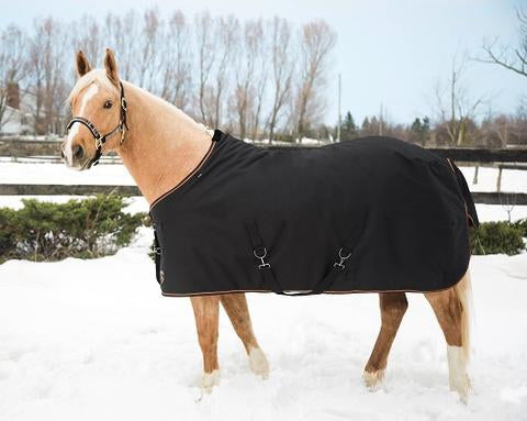 Kensington Medium Weight Turnout Blanket