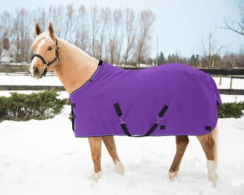 Kensington Light Weight Turnout Blanket