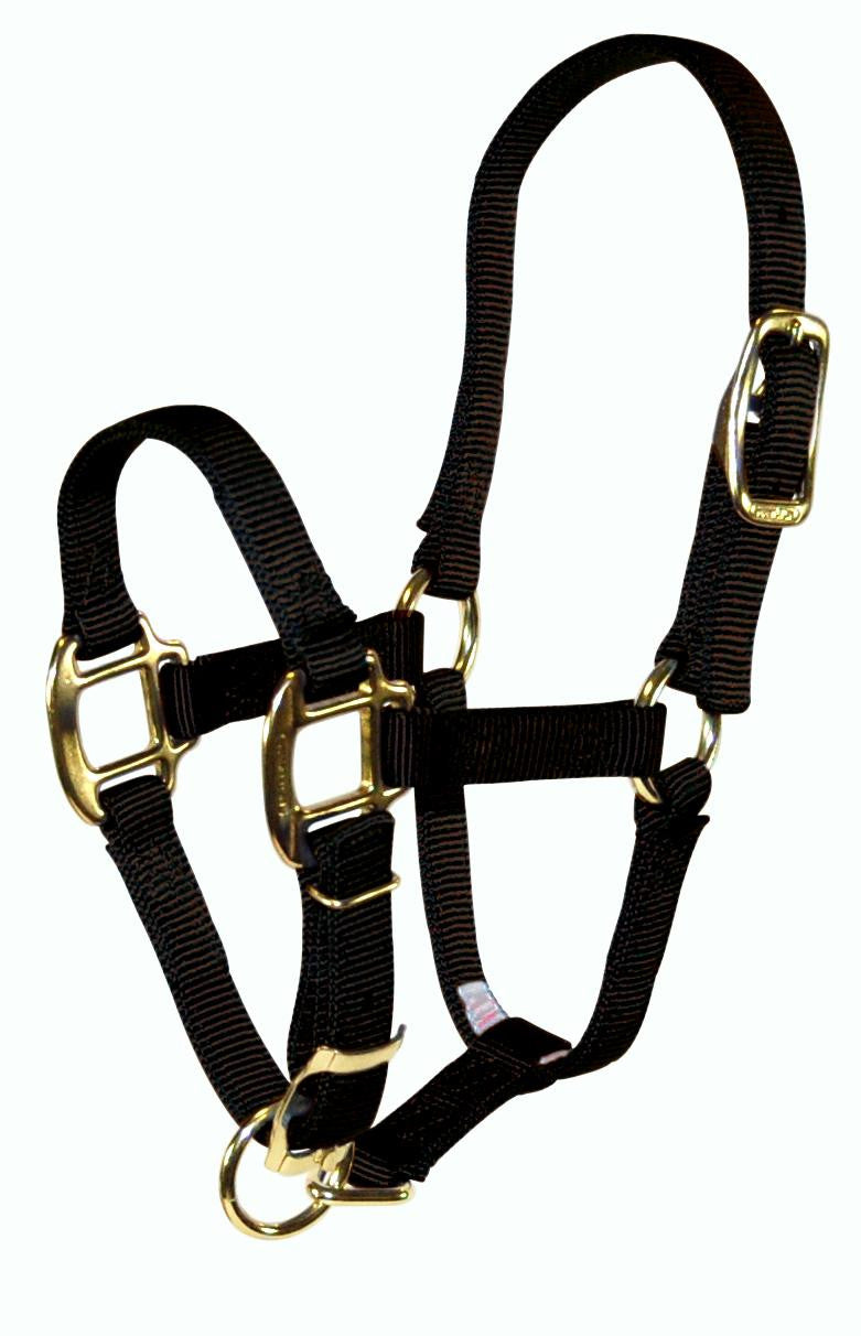 Hamilton Adjustable Nylon Halter No Snap