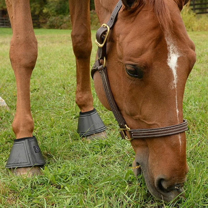 Equifit Essential Bell Boot