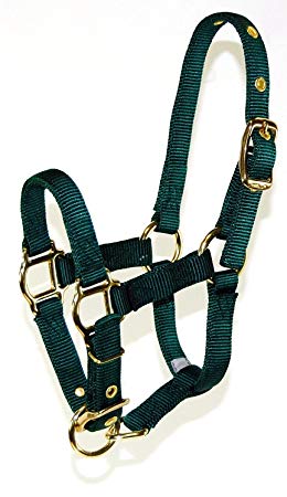 Hamilton Adjustable Nylon Halter No Snap