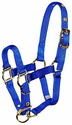 Hamilton Adjustable Nylon Halter No Snap