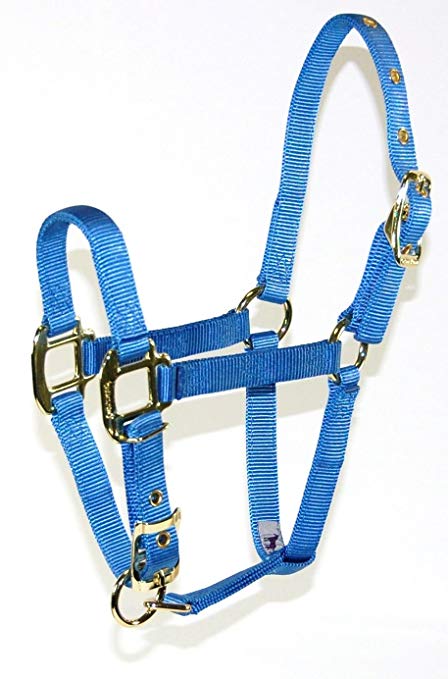 Hamilton Adjustable Nylon Halter No Snap