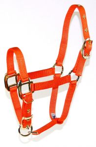 Hamilton Adjustable Nylon Halter No Snap