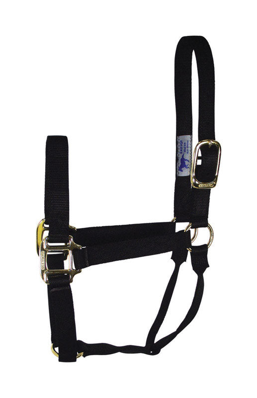 Hamilton Nylon Halter
