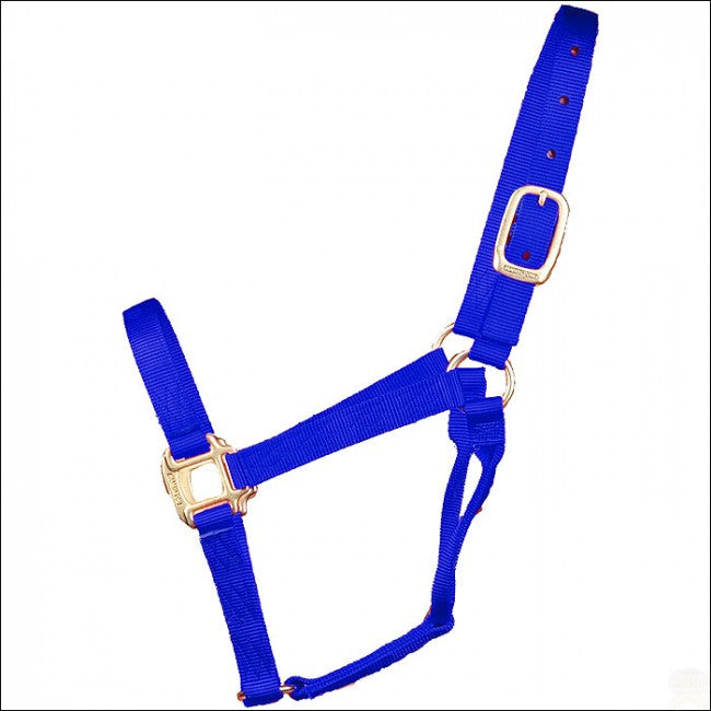 Hamilton Nylon Halter
