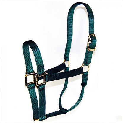 Hamilton Nylon Halter