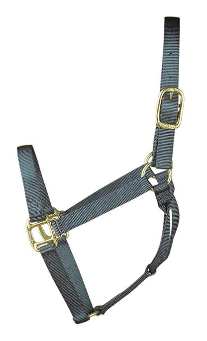 Hamilton Nylon Halter