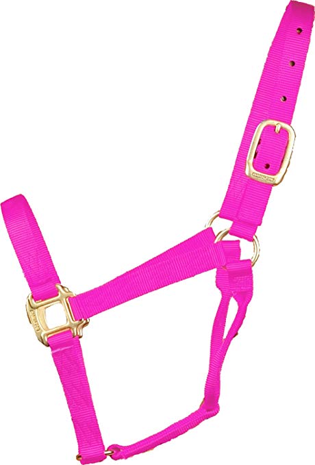 Hamilton Nylon Halter