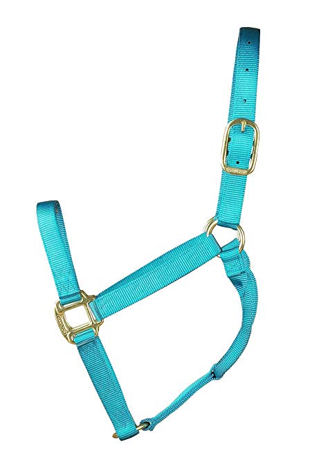 Hamilton Nylon Halter