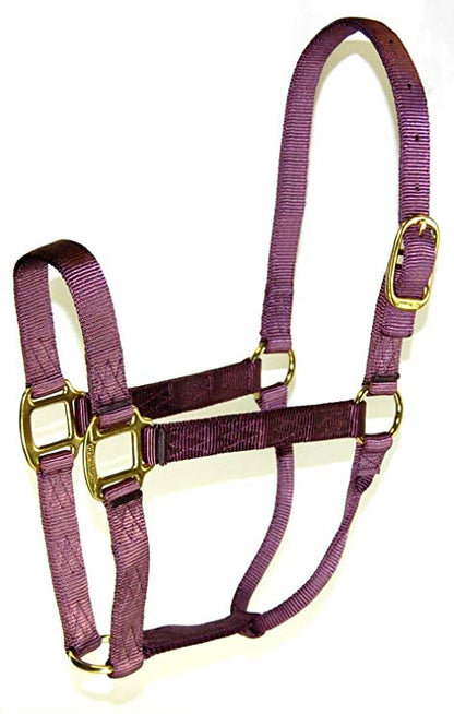 Hamilton Nylon Halter