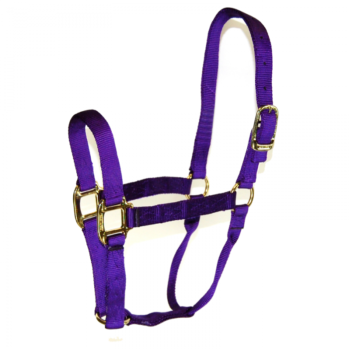 Hamilton Nylon Halter