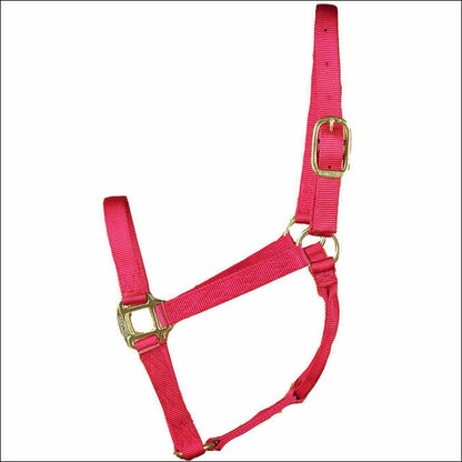 Hamilton Nylon Halter