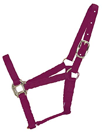Hamilton Nylon Halter