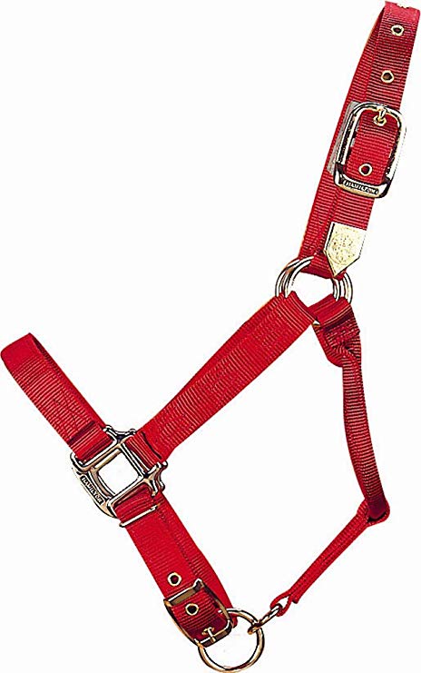 Hamilton Adjustable Nylon Halter No Snap