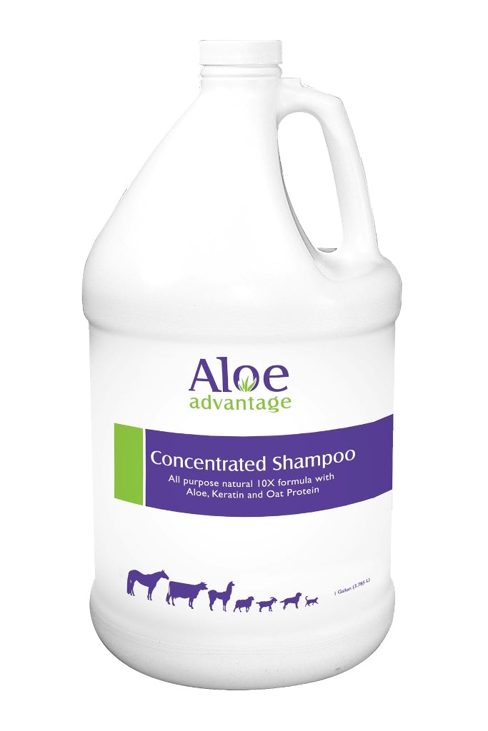 Aloe Advantage Concentrated Shampoo