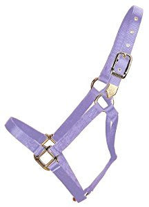 Hamilton Nylon Halter