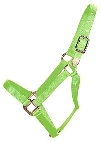 Hamilton Nylon Halter